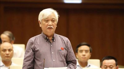 Dai-bieu-quoc-hoi-la-gi-dai-bieu-Quoc-hoi-co-nhung-quyen-co-ban-nao