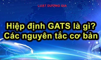 Hiep-dinh-GATS-la-gi-cac-nguyen-tac-co-ban-trong-hiep-dinh-chung-ve-thuong-mai-dich-vu