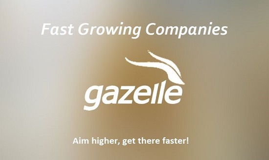 Công ty Gazelle là gì? Đặc điểm và ví dụ về công ty Gazelle