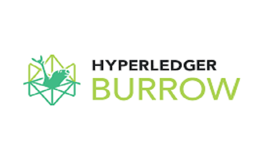 Hyperledger Burrow trong công nghệ chuỗi khối là gì? Nội dung về Hyperledger Burrow