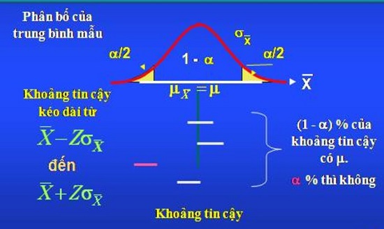 Khoảng Tin Cậy Là Gì? Những Quan Niệm Sai Lầm Về Khoảng Tin Cậy