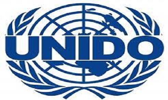 Tổ chức phát triển Công nghiệp Liên hiệp quốc là gì? Chức năng và hoạt động