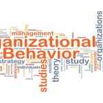 Hành vi tổ chức là gì? Sự cần thiết và vai trò của hành vi tổ chức?