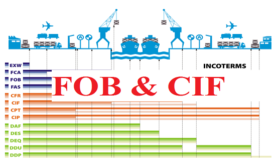 CIF là gì? FOB là gì? Sự khác nhau giữa CIF và FOB?