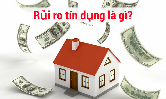 Rủi ro tín dụng là gì? Các loại rủi ro tính dụng trong ngân hàng?