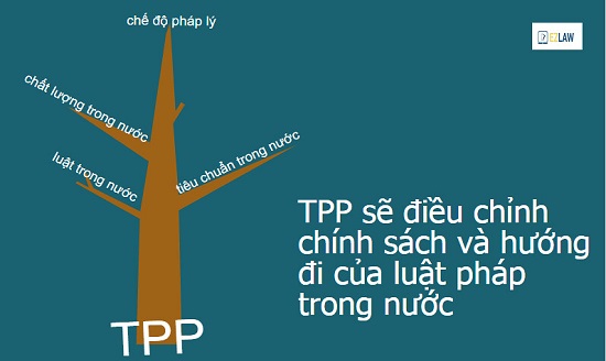 Hiệp định TPP là gì? Các nội dung chính của Hiệp định TPP