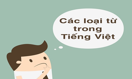 Khái niệm từ là gì? Cấu tạo từ trong tiếng Việt? Ví dụ cụ thể?