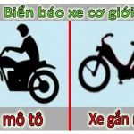 Xe gắn máy là xe gì? Phân biệt giữa xe gắn máy và mô tô?