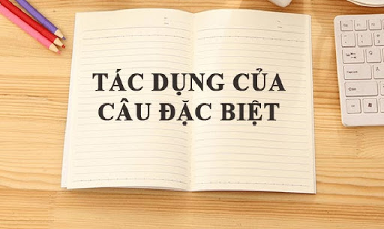 Câu đặc biệt là gì? Cấu tạo và tác dụng của câu đặc biệt?