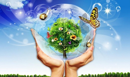 Giáo dục môi trường là gì?  Mục tiêu và nội dung giáo dục môi trường?