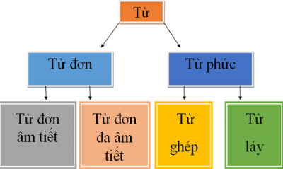 Từ ghép là gì? Có mấy loại từ ghép? Ví dụ minh họa cụ thể?