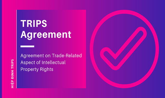 Hiệp định TRIPS là gì? Hiệp định của WTO về sở hữu trí tuệ?