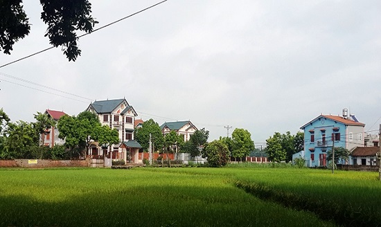 ảnh chủ đề