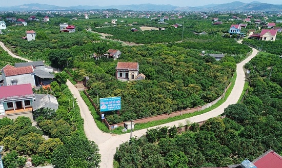 ảnh chủ đề