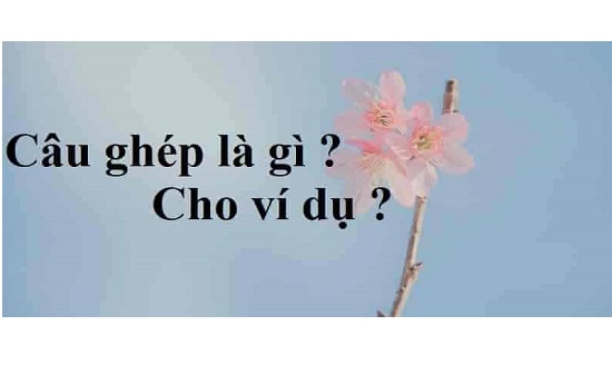 Câu ghép là gì? Các loại câu ghép? Cách đặt câu ghép?