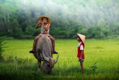 mau-don-xin-thay-doi-nguyen-quan-que-quan-moi-nhat