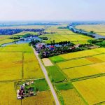 Việt kiều có được mua, đứng tên đất nông nghiệp không?