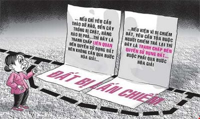mau-don-to-cao-lan-chiem-dat-dai-va-huong-dan-cach-viet