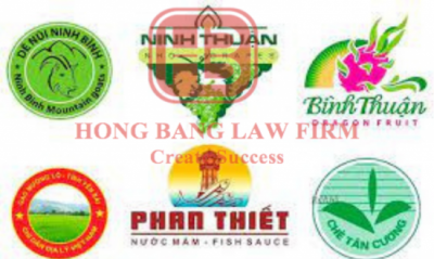 nhan-hieu-tap-the-la-gi-luu-y-gi-khi-su-dung-nhan-hieu-tap-the