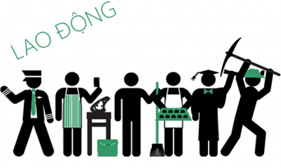 phan-tich-cac-nguyen-tac-co-ban-cua-luat-lao-dong-viet-nam