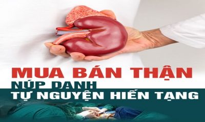 ban-than-va-moi-gioi-ban-than-co-vi-pham-phap-luat-khong