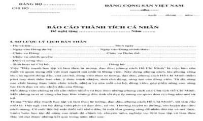 mau-bao-cao-thanh-tich-ca-nhan-cong-doan-moi-va-chuan-nhat