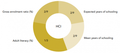 Cac-chi-so-thanh-phan-cua-HCI