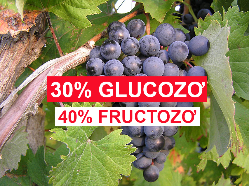 Glucozo là gì? Fructozo là gì? Thuốc thử để phân biệt chúng?