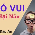 Những câu hỏi hack não, câu đố vui hóc búa có đáp án hay nhất. 