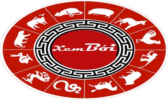 Xem-boi-co-bi-cam-khong-To-chuc-xem-boi-co-vi-pham-khong