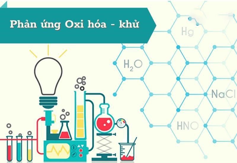 Sự oxi hóa có liên quan đến quá trình oxy hóa phân tử nào khác?
