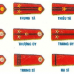 Quân hiệu, cấp hiệu, phù hiệu của Quân đội nhân dân Việt Nam