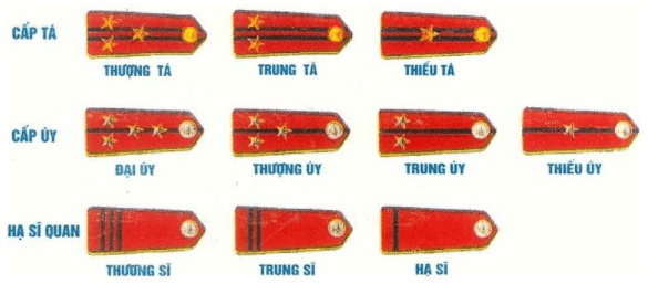 Quân hiệu, cấp hiệu, phù hiệu của Quân đội nhân dân Việt Nam