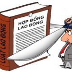 Thủ tục chấm dứt hợp đồng lao động trước thời hạn đúng luật