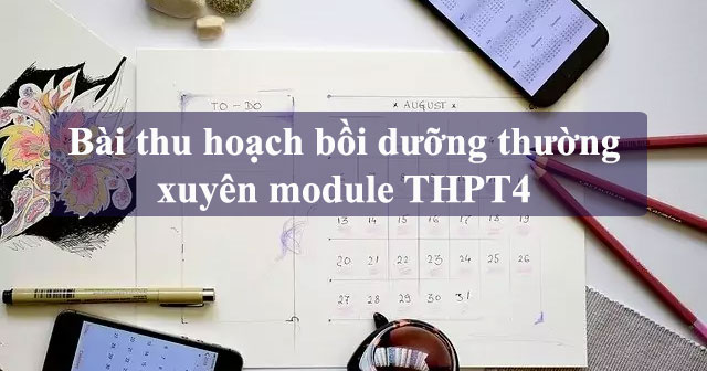 Bài thu hoạch bồi dưỡng thường xuyên GV THPT Module 4