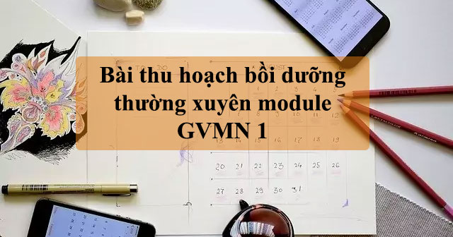 Bài thu hoạch bồi dưỡng thường xuyên GVMN Module 1