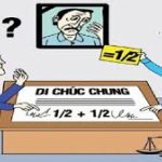 Phân biệt thừa kế theo pháp luật và thừa kế theo di chúc