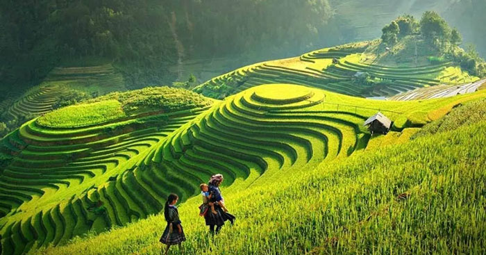ảnh chủ đề