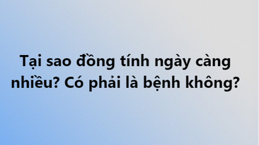 ảnh chủ đề