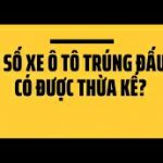 Biển số xe trúng đấu giá có phải là di sản thừa kế không?