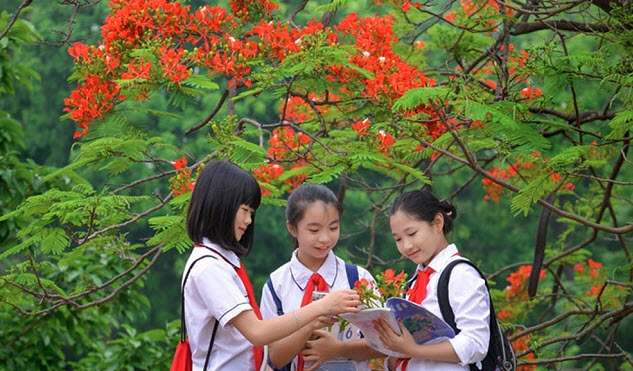 ảnh chủ đề