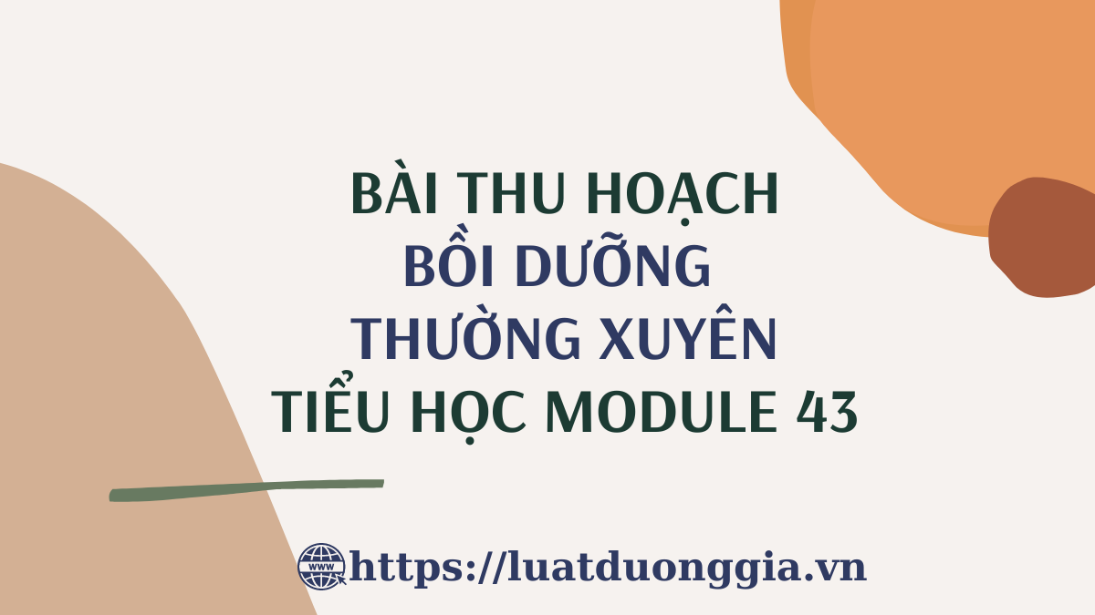 ảnh chủ đề