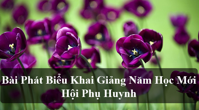 ảnh chủ đề