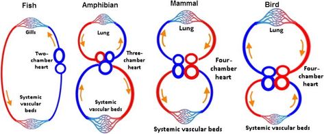 ảnh chủ đề