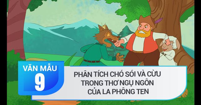 ảnh chủ đề