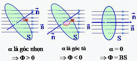 ảnh chủ đề