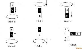 ảnh chủ đề