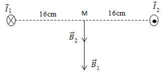 ảnh chủ đề