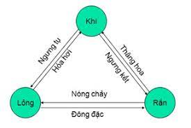 ảnh chủ đề