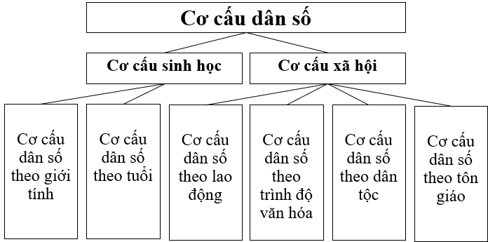 ảnh chủ đề